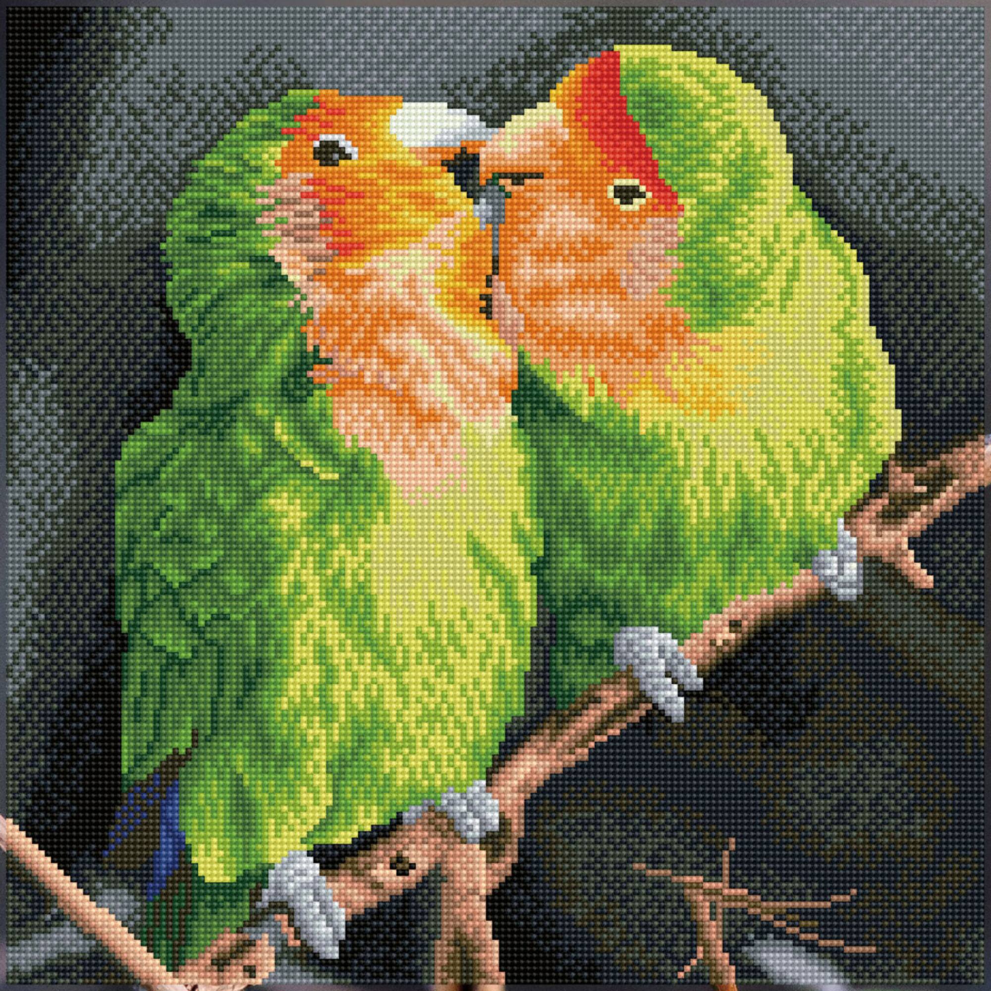 Diamond Dotz® Intermediate Nick and Lucy Pre-Framed Diamond Painting Kit